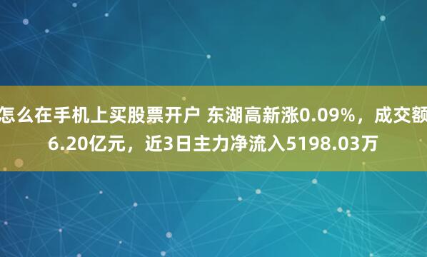 怎么在手机上买股票开户 东湖高新涨0.09%，成交额6.20亿元，近3日主力净流入5198.03万